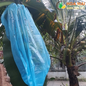 Cubierta Reutilizable Ecológica de Plástico PP No Tejido para Frutas, Protege Bananas, Tomates, Jardines de Invierno y Uso Agrícola - Product Image 4