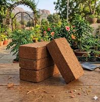 Mélange commercial de tourbe de coco pour une croissance saine des plantes d'intérieur et des plantes en pot, provenant d'un exportateur indien, au prix de gros.