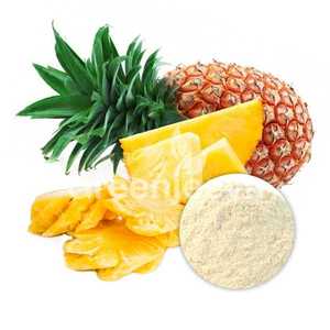 HIGH QUALITY DEHYDRATED <b>PINEAPPLE</b> POWDER - NON-GMO HALAL CERTIFIED FRUIT POWDER FOR FOOD INDUSTRY - Product Image 1
