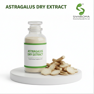 Extrait d'Astragale à base de plantes, développé pour les acheteurs B2B exigeant des matières premières botaniques traçables - Product Image 3