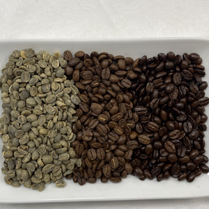 เมล็ดกาแฟเวียดนามอาราบิก้าสีเขียว ขายส่งโดยตรง OEM/ODM คาเฟอีนสูง กาแฟดิบ ราคาโรงงาน - Product Image 4