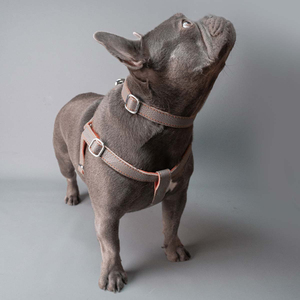 Custom <b>Dog</b> Leather <b>Collar</b> Heavy Duty Medium <b>Large</b> Breed Wholesale OEM ODM Service Acceptable <b>Dogs</b> Leather <b>Collars</b> - Product Image 4