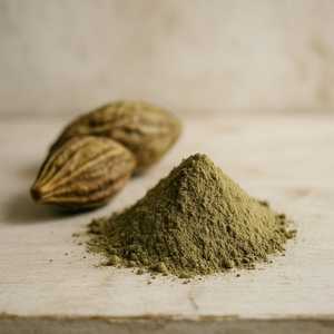 Poudre de Haritaki Biologique Premium 100% Pure 100g, Herbe Naturelle Finement Broyée du Jharkhand, Durée de Conservation de 36 Mois, Ojistha Industries - Product Image 1
