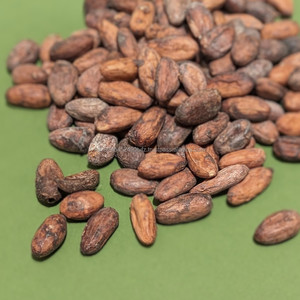 Fèves de cacao séchées au soleil de qualité supérieure, fermentées naturellement, en vrac, brutes, pour la fabrication de chocolat et l'exportation, disponibles à prix avantageux - Product Image 6