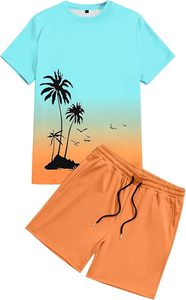 Men's 2 Piece Short Sleeve Tracksuit Tropical Graphic T Shirt Hawaiian Tee Solid Shorts <b>Set</b> Summer Casual Outfits - Product Image 2