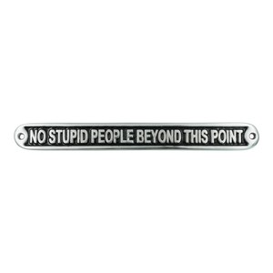 Plaque murale en métal moulé « Pas de types stupides au-delà de ce point », design industriel rectangulaire, fabrication artisanale, panneau mural personnalisé pour porte - Product Image 5