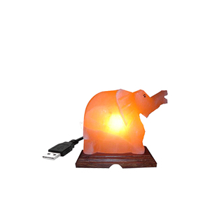 Wholesale High Quality USB <b>Mini</b> Himalayan Salt Lamp Wooden Tree Shape Hand Carved Night Light Feng Shui Style Eco-Friendly CE - Product Image 2
