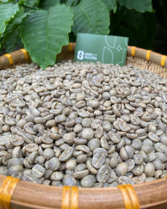 High Altitude Vietnam Organic Robusta Coffee <b>Beans</b> Wholesale Unroasted Honey Process Premium Green <b>Beans</b> 60kg/bag for Roasters - Product Image 4