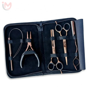 Kit d'outils pour extensions de cheveux, pinces métalliques, ciseaux, clips pour l'installation et le retrait, pinces multifonctions pour le coiffage, OEM - Product Image 2