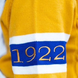 Cárdigan Amarillo y Azul Sigma Gamma Rho 1922 para Mujer, Suéter con Botones, Estilo Casual Premium de la Hermandad Griega - Product Image 3