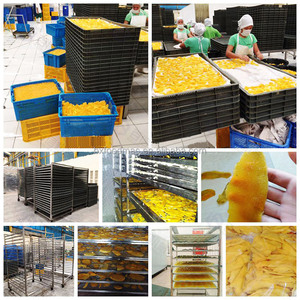 Machine de séchage d'ail de gingembre de piment rouge à faible consommation machine de séchage de mangue machine de séchage de fruits et légumes - Product Image 6