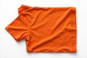 Move on and Get Hotter Mens <b>Orange</b> Short Sleeve O-Neck Casual Breathable <b>T</b>-<b>Shirt</b> Regular Fit 320g Jersey Fabric - Product Image 3