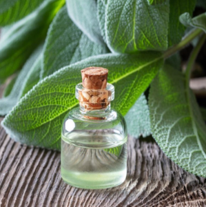 Aceite Esencial de Salvia Sálvia en Granel a Precio de Fábrica, Aceite Esencial de Salvia Sálvia 100% Puro y Natural - Product Image 6