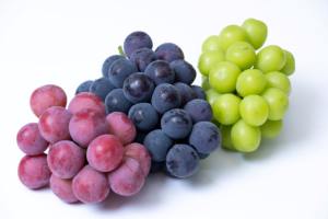Uvas Frescas Japonesas de Excelente Calidad, Magníficos Grados, Verdes, Negras y Rojas - Product Image 2