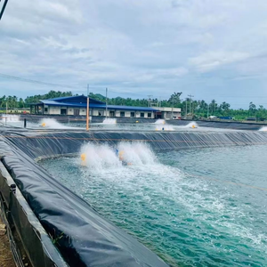 มาโคร ®   แผ่นปูรองคลอง HDPE สำหรับงานหนัก มาตรฐาน ASTM GRI GM13 แผ่นกันซึมสำหรับระบบชลประทานและการส่งน้ำ - Product Image 3