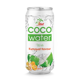 Eau de coco, purée de fruits, jus de dattes fraîches stérilisées, boîte en aluminium de 330 ml, certifiée Halal pour les distributeurs en gros, bouteille/boîte - Product Image 2