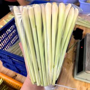 Premium Frozen <b>Lemongrass</b> Stalks IQF Food Grade Bulk Supply - Product Image 3