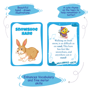 Cartes flash double face Biplob's 28, taille personnalisée, animaux arctiques avec images et rimes imprimées, matériau papier éducatif - Product Image 5