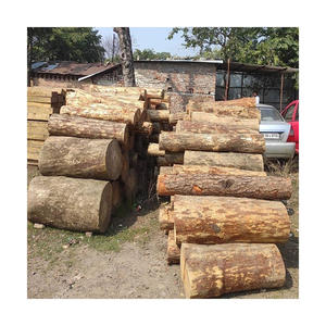 Troncos de Madera de Teca Africana de Origen Tanzano de la Mejor Calidad a Bajo Precio, 32 m de Diámetro, Entrega Rápida, Suministro al por Mayor de Madera - Product Image 1