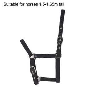 Adjustable Nylon Webbing Equestrian Western Horse Halter <b>Halters</b> Black XS S M L XL Ergonomic Comfortable Horse Riding Wear - Product Image 2