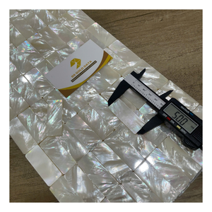 Matériau d'incrustation en nacre véritable du Vietnam, poli, forme naturelle, pour la fabrication de guitares, manches de couteaux, décoration de luxe, bijoux - Product Image 1