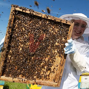 Guantes de Apicultura Resistentes, Extra Largos, a Prueba de Picaduras, de Cuero Protector para Granjas Comerciales e Inspección de Colmenas - Product Image 5