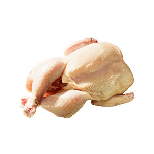 Pollo Halal Congelado Entero de Calidad Premium para Exportación, Preparado con Cuidado Islámico y Control de Seguridad Alimentaria - Product Image 2