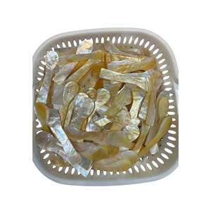 Cuillère artisanale vietnamienne en nacre, matériau naturel de coquillage, pour le service du thé, du café, des desserts, la restauration à domicile et les cadeaux - Product Image 1