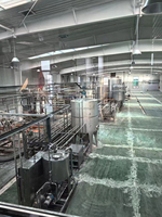 Automatische Kleine Tomatenpuree Productielijn Saus Ketchup Maken Verwerkingsfabriek