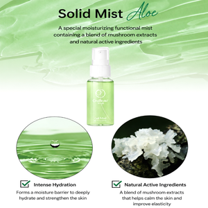 Korean Solid Gel Mist Aloe Liposome Technology Facial Mist Deep Hydration Anti Aging Skincare Anti Wrinkle - Product Image 4