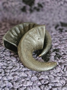 ของเล่นเคี้ยวสำหรับสุนัข FAIZA CRAFT คุณภาพดีที่สุด เป็นมิตรกับสิ่งแวดล้อม ทำจากเขาควายแท้ 100% จากธรรมชาติ - Product Image 5