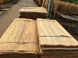 CHEAPEST PRICE - Wood Core Veneers for Making Plywood, Wood Industry- Engineering Wood Veneer Export Low Taxes - Product Image 1