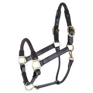Cabestro para Caballo Estilo Western Hecho a Mano de Primera Calidad con Riendas de Cuero Elegantes - Product Image 1