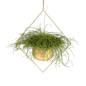 Maceta Colgante Metálica Geométrica Moderna, Estilo Dorado, para Interiores, para Suculentas y Decoración de Jardín que Ahorra Espacio, en Oferta - Product Image 1