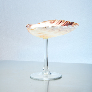 Verres à cocktail en coquillages marins du Vietnam, verres à shot en coquillages marins, articles de bar, cadeau, meilleure réduction - Product Image 6