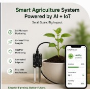 Développement de systèmes intelligents à petite échelle utilisant des technologies IA et IoT intégrées - Product Image 1