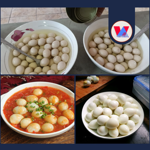 HUEVOS DE CODORNIZ ENLATADOS ECOLOGICOS Y SEGUROS MÁS VENDIDOS, Huevos de Codorniz Pelados en Salmuera, Listos para Comer, para Hotpot, Sopa Ramen, Baozi, Bocadillos Diarios - Product Image 6