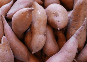 Patate douce / igname violette - Vente en gros de patates douces fraîches / surgelées / en amidon de haute qualité, certifiées Global Gap - Product Image 2