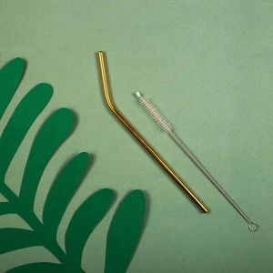 Ensemble de pailles à boire réutilisables en acier de qualité supérieure avec brosse de nettoyage pour cocktails et smoothies - Product Image 5