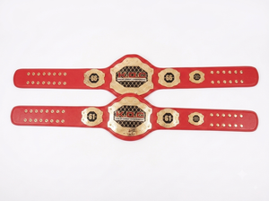 Ceintures de titre de championnat personnalisées pour enfants/adultes/femmes Accessoires d'équipement de fitness personnalisés pour gymnases Clubs Annuel - Product Image 4