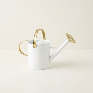 Wholesale Vintage Galvanized Metal Watering Can With Antique Finis Decorative <b>Garden</b> Water Pot Dor Indoor And Outdoor Plant Care - Product Image 3