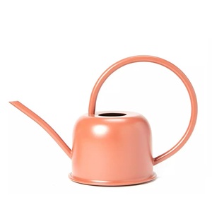 Nouvelle arrivée : arrosoir en métal pour l'entretien des plantes de jardin, pot à eau durable avec long bec verseur, taille et couleur personnalisables - Product Image 2