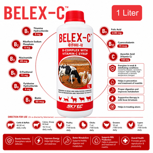 BELEX-C, Suplemento Líquido sin Granos con Complejo B y Vitamina C para Reforzar el Sistema Inmunológico en Ganado Vacuno, Búfalos, Terneros y Aves de Corral |   Paquete de 1 Litro - Product Image 3