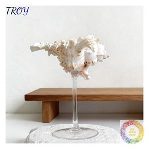 Gobelet en coquillage artistique, cadeau souvenir pour les stations balnéaires, les boutiques côtières, les magasins de vacances et les collections inspirées de l'océan - Product Image 3