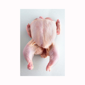 Frozen Whole <b>Chicken</b> Premium Bulk Wholesale Ready to Ship for Importers and Wholesalers - Product Image 4