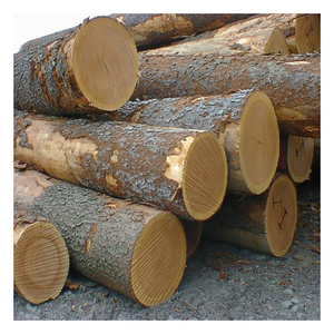 Troncos de madera dura de roble, madera natural redonda para fabricación de muebles, carpintería y material de construcción al por mayor - Product Image 5