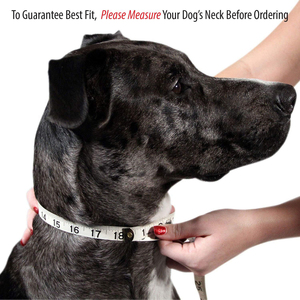 2026 Newest Luxury Modern Style Soft Dogs Collar In Low MOQ Comfortable Genuine Leather Dog Collars with Buckle - Product Image 6