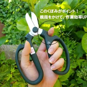 Fabriqué au Japon SAKAGEN Ciseaux à fleurs pour la création à la main F-170 Moss Green - Product Image 2