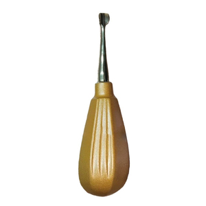 Elevadores Dentales, Instrumentos para Extracción de Dientes, Acero Inoxidable de Grado Médico, Proveedor, Precios de Mayoreo Accesibles - Product Image 1