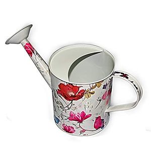 Arrosoir d'intérieur élégant en métal pour plantes décoratives, bec long, poignée ergonomique, revêtement antirouille, finition durable - Product Image 2